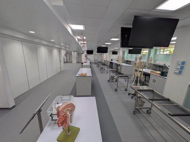 Anatomy models beside laboratory workstations and teaching screens
