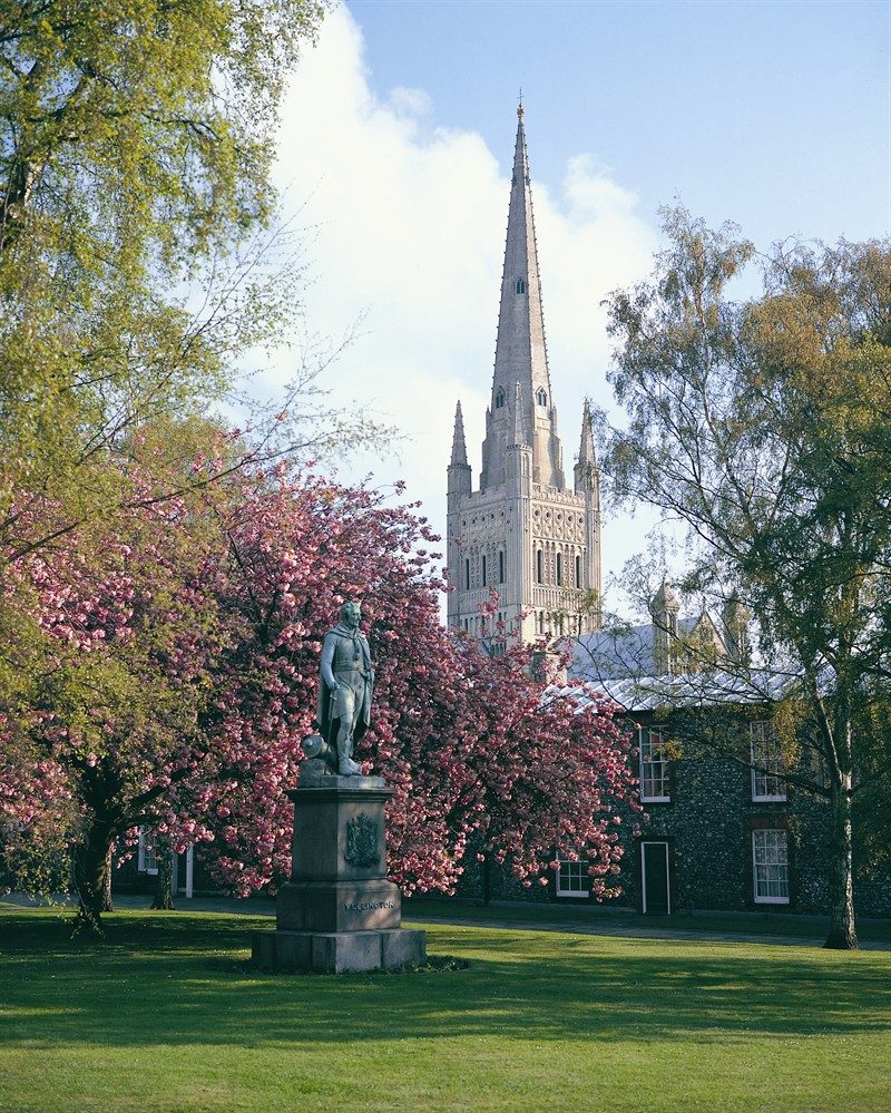Norwich Cathedral and city green space